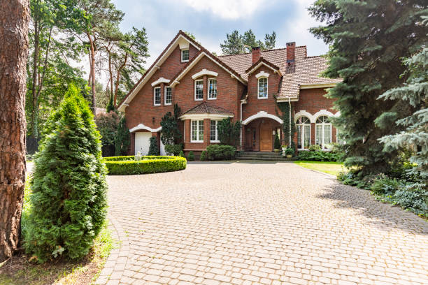 Best Local Driveway Pavers  in Watts Mills, SC