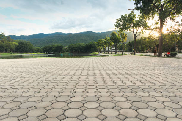 Best Concrete Paver Driveway  in Watts Mills, SC
