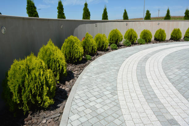 Professional Driveway Pavers in Watts Mills, SC